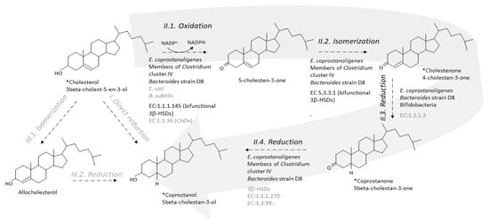 Microorganisms 09 01881 g003 550