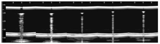 Diagnostics 11 01666 g008 550