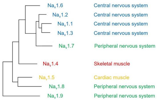 Ijms 22 09798 g001 550