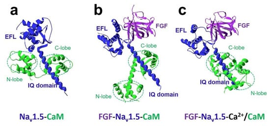 Ijms 22 09798 g004 550