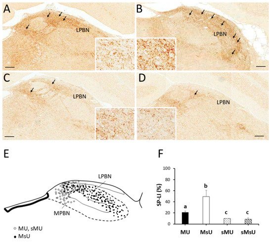 Ijms 22 09906 g003 550