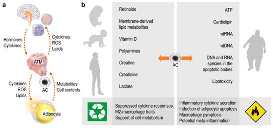 Cells 10 02288 g003 550