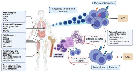 Cancers 13 04418 g001 550