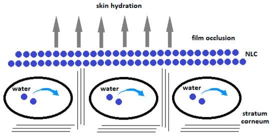 Cosmetics 08 00089 g002 550