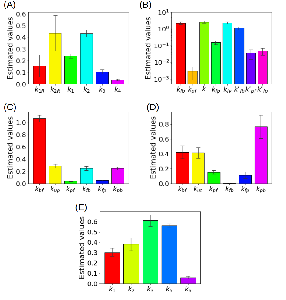 (A) Kinetic parameters estimated for the reference tissue CM with a deterministic ap- proach (B) Kinetic parameters estimated for the liver CM with a deterministic approach (C) Kinetic parameters for a simplified CM for the renal system estimated with ant colony optimization, (D) Kinetic parameters for the CM of the renal system estimated with a statistical approach (E) Ki- netic parameters of the CM including the endoplasmic reticulum estimated with a regularized Gauss-Newton approach.