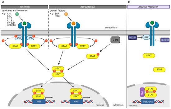 Cancers 13 04854 g002 550