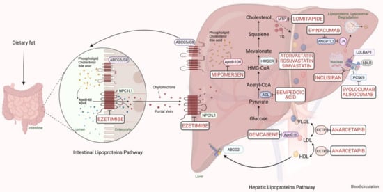 Jpm 11 00877 g001 550