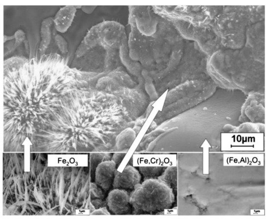 Nanomaterials 11 02527 g008 550