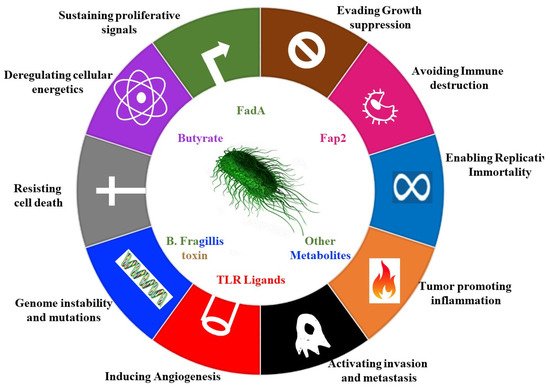 Microorganisms 09 02129 g001 550