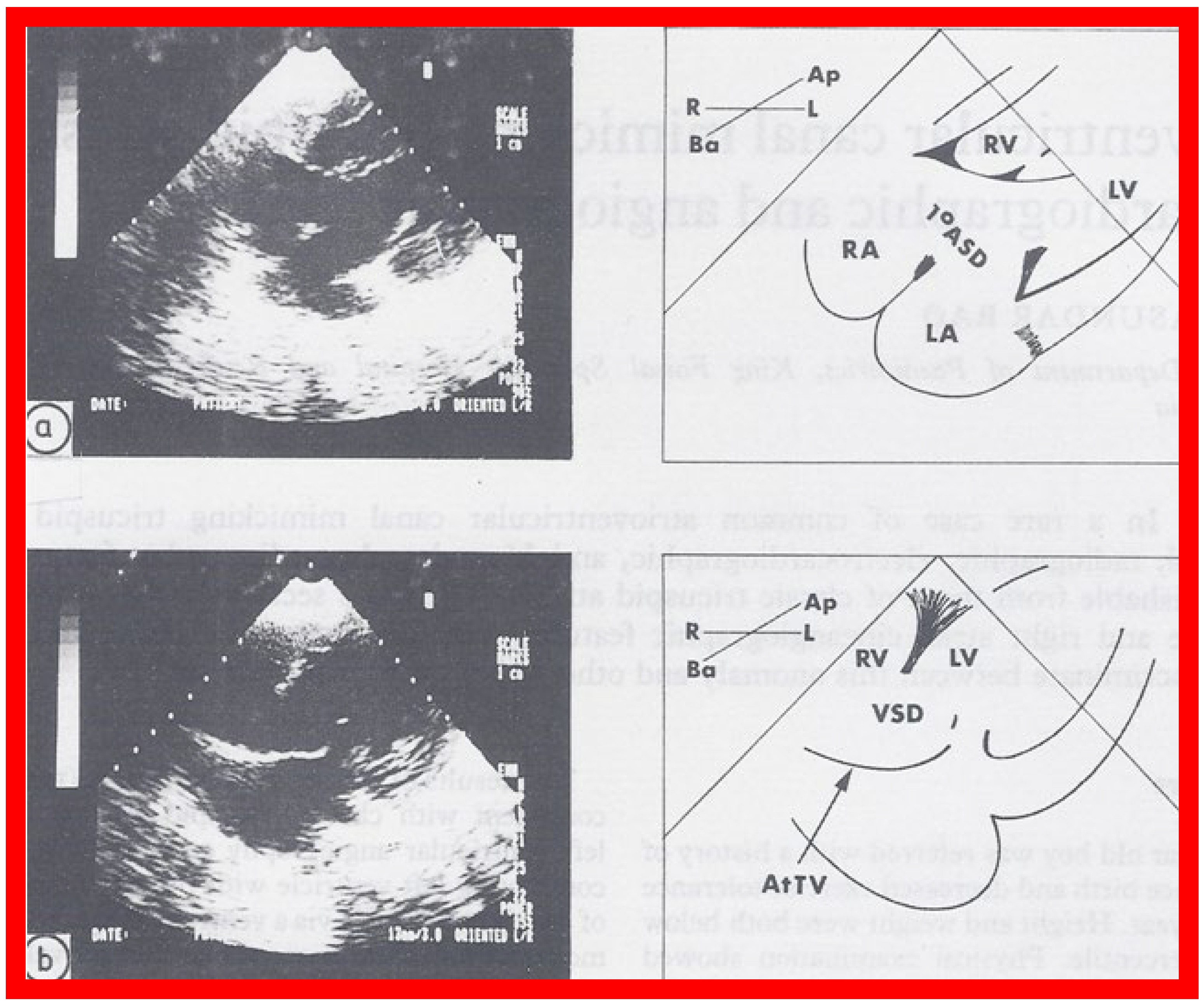 Applsci 11 09472 g007