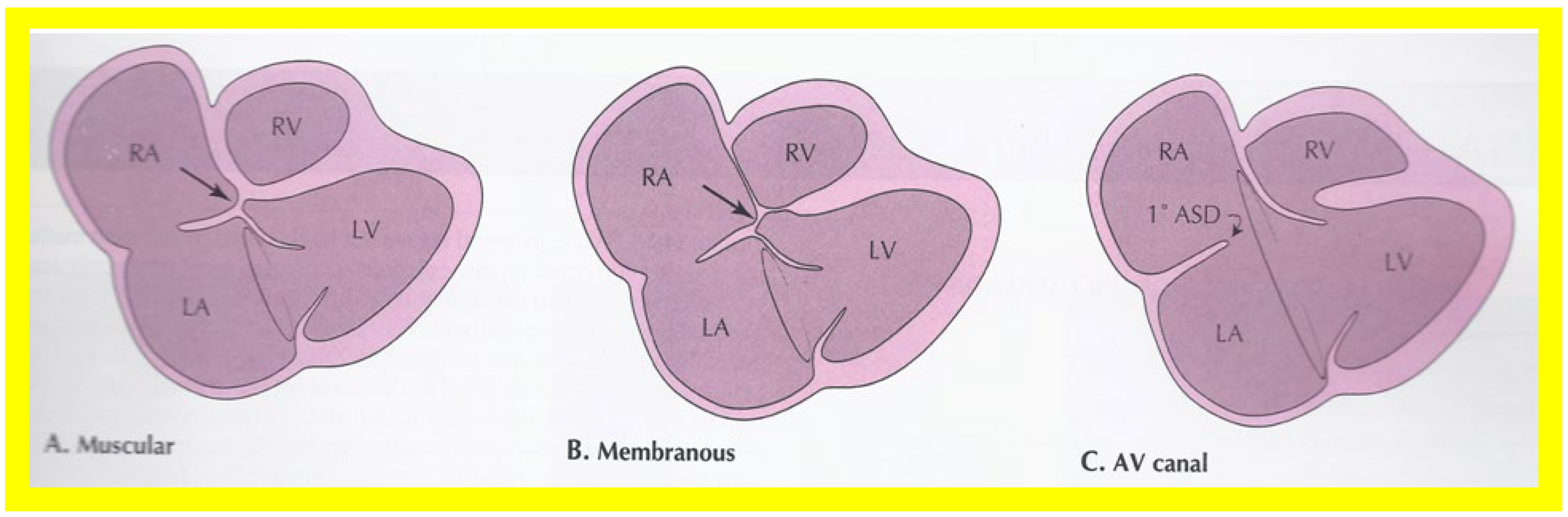 Applsci 11 09472 g008