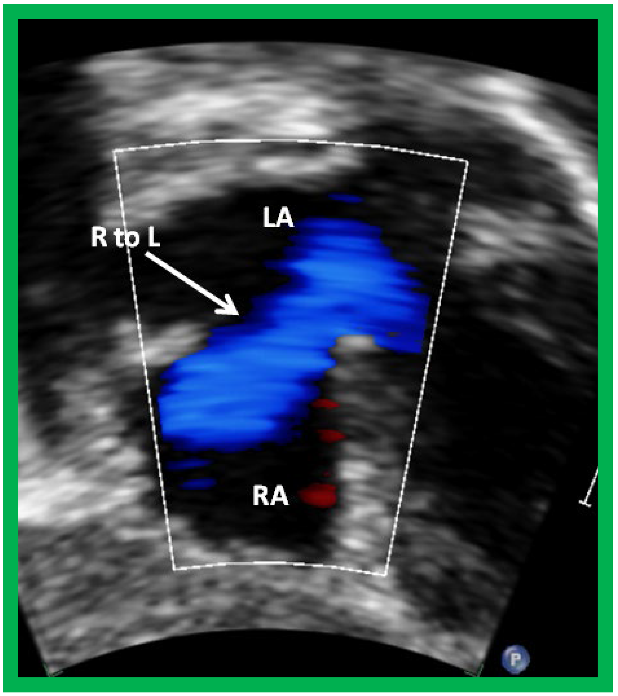 Applsci 11 09472 g009