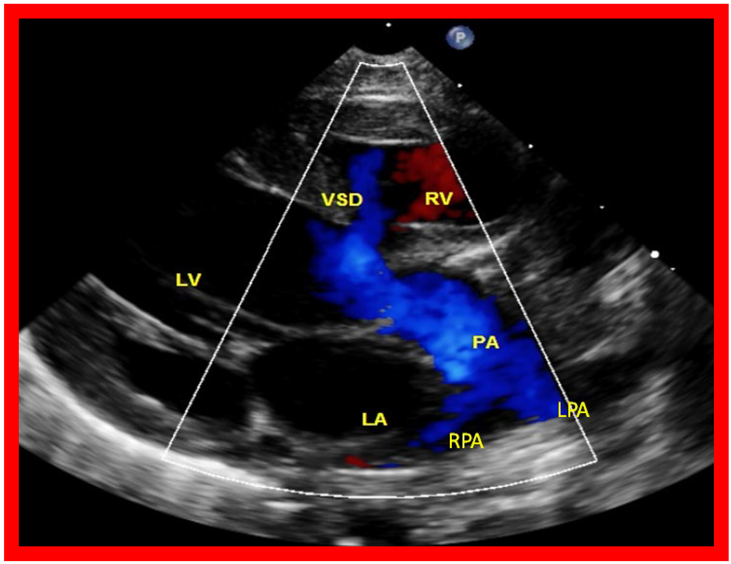 Applsci 11 09472 g012