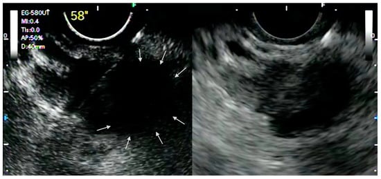 Medicina 57 01085 g001 550