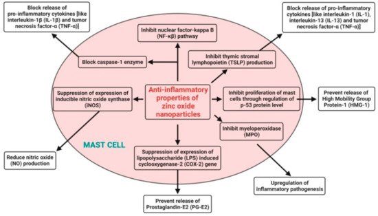 Pharmaceutics 13 01662 g006 550
