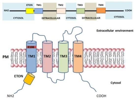 Cells 10 02722 g002 550