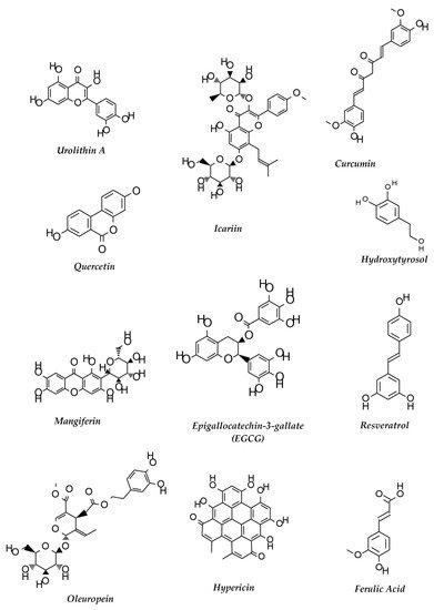 Ijms 20 05090 g002 550
