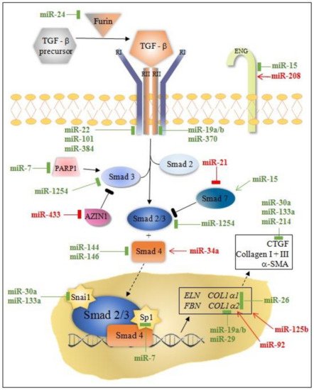 Diagnostics 11 01675 g001 550