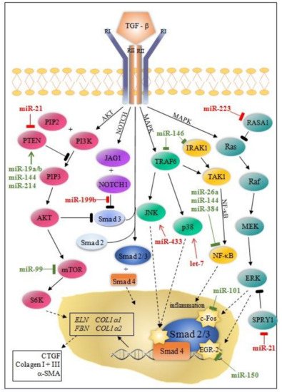 Diagnostics 11 01675 g002 550