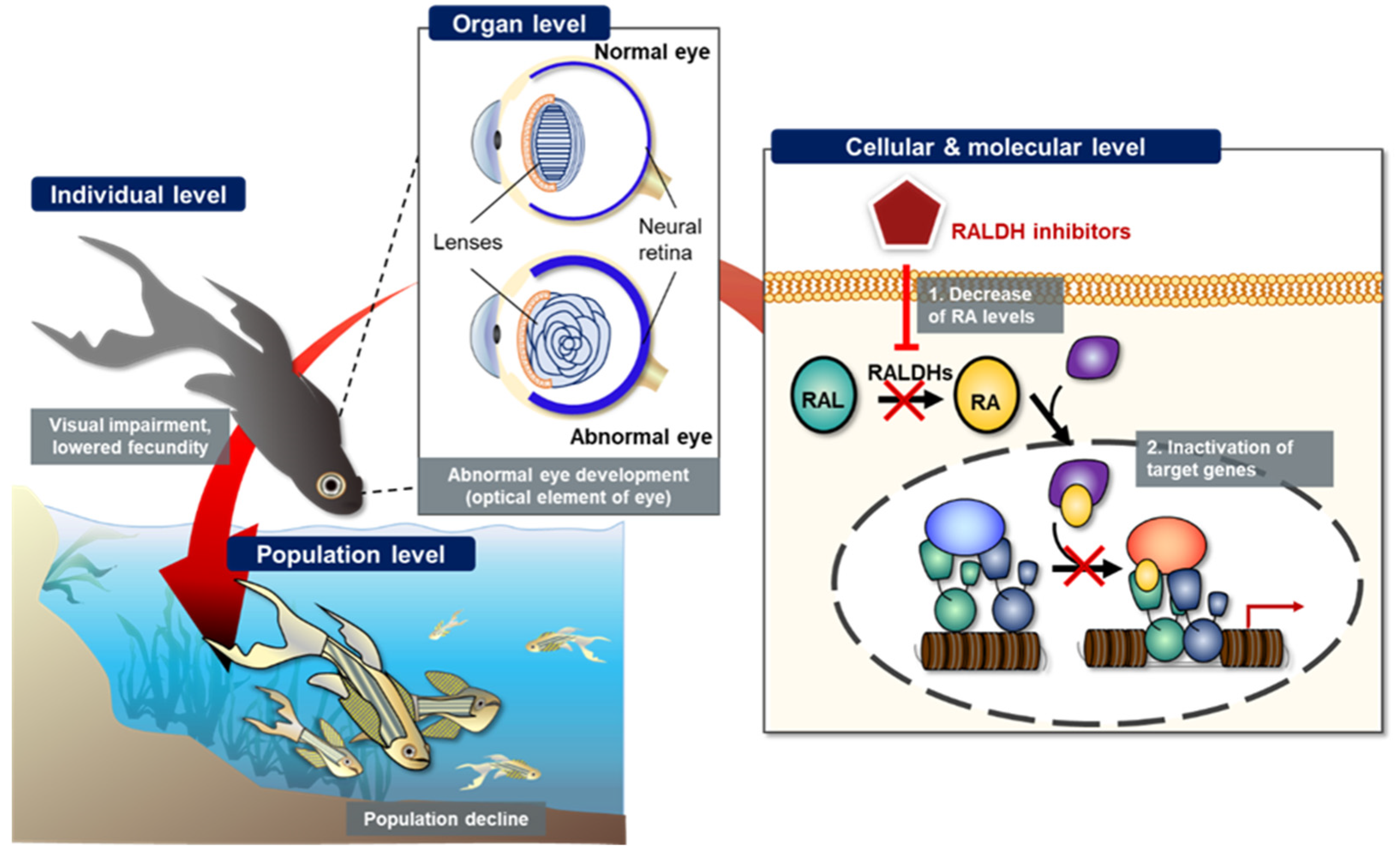 Toxins 13 00739 g004
