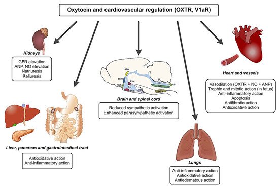 Ijms 22 11465 g002 550