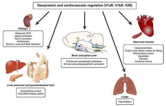 Ijms 22 11465 g003 550
