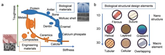 Coatings 11 01297 g001 550