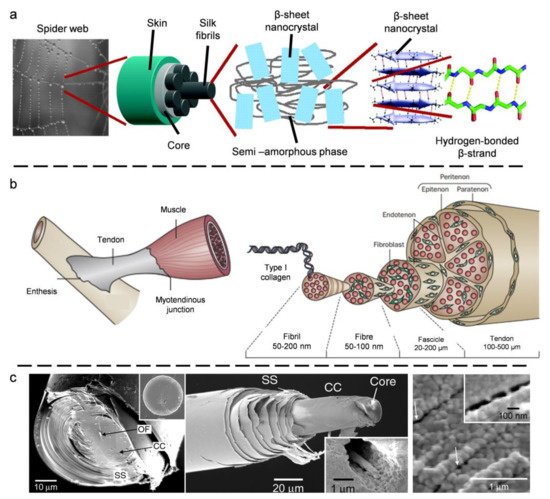 Coatings 11 01297 g002 550