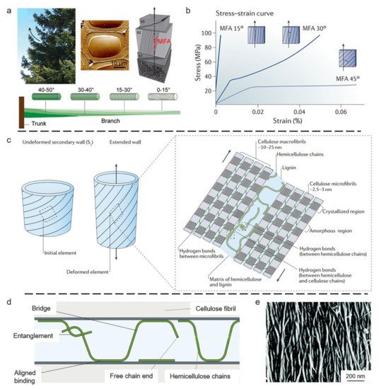Coatings 11 01297 g003 550