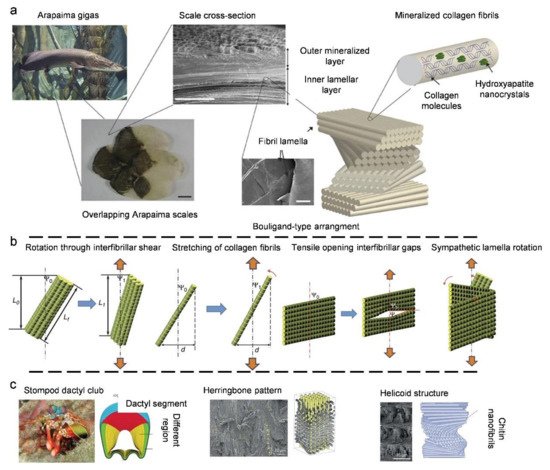 Coatings 11 01297 g005 550