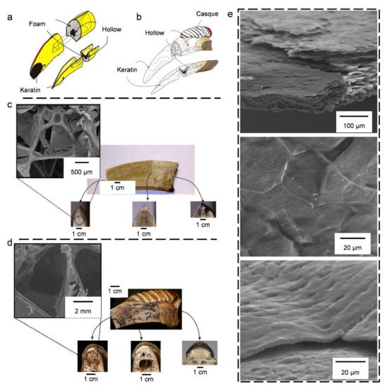Coatings 11 01297 g007 550