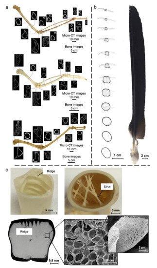 Coatings 11 01297 g008 550