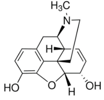 Cancers 13 05346 i025