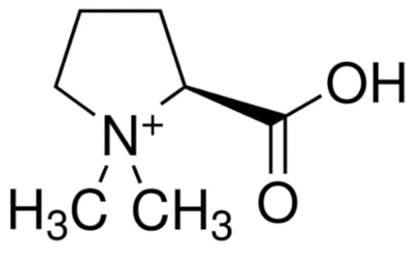 Cancers 13 05346 i041