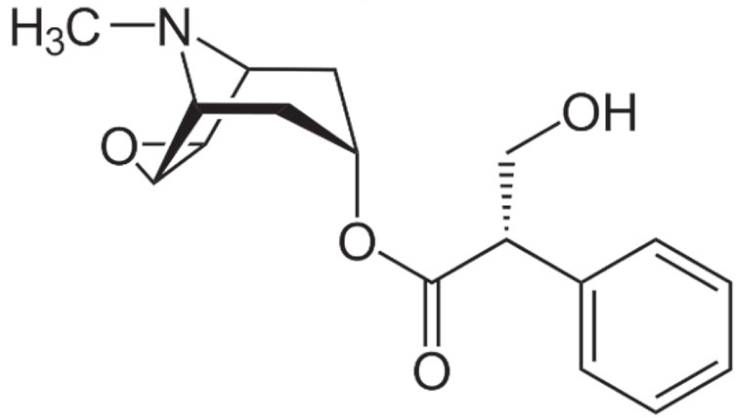 Cancers 13 05346 i055