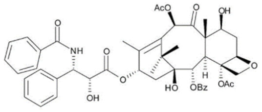 Cancers 13 05346 i062