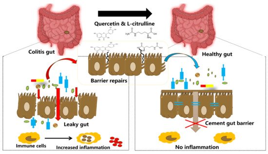 Nutrients 13 03782 g006 550