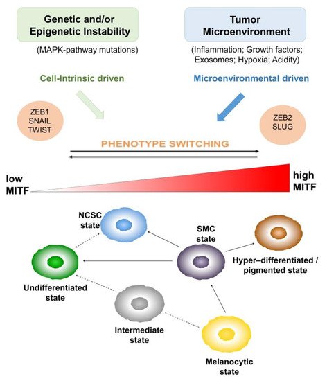Cancers 13 05788 g001 550