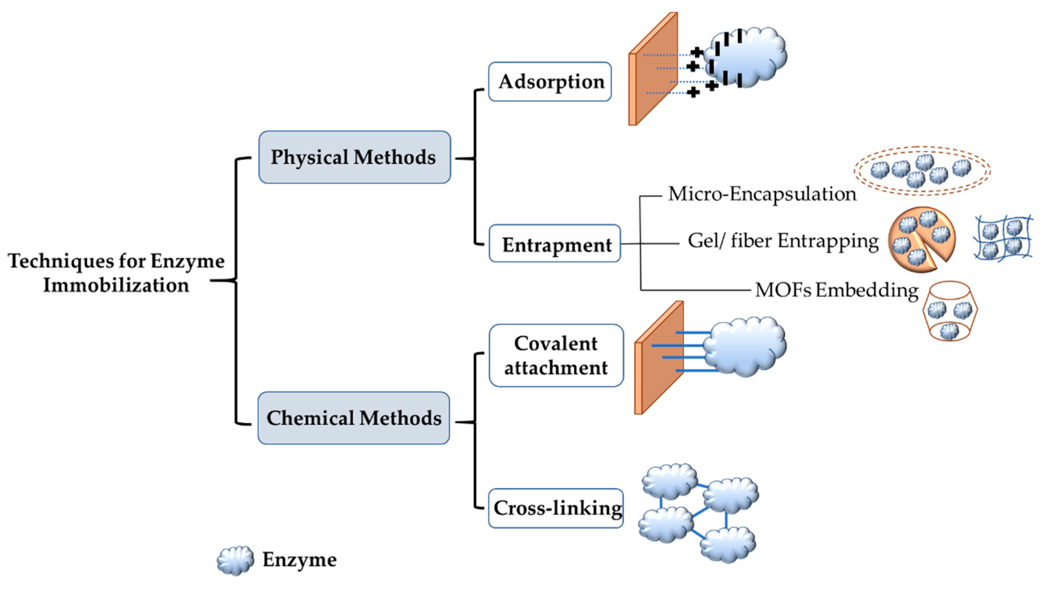 Nanomaterials 11 03124 g002