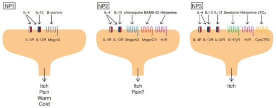 Ijms 22 12365 g001 550