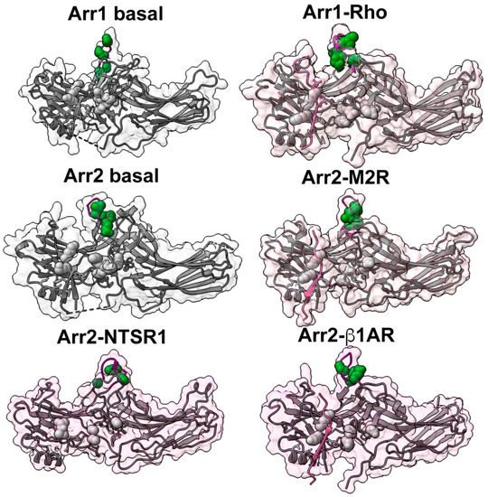 Ijms 22 12481 g005 550