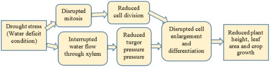 Agronomy 11 02374 g001 550