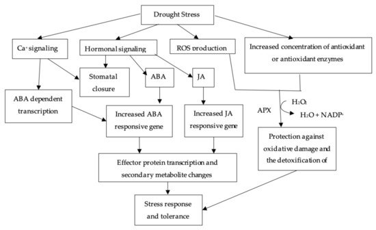 Agronomy 11 02374 g004 550