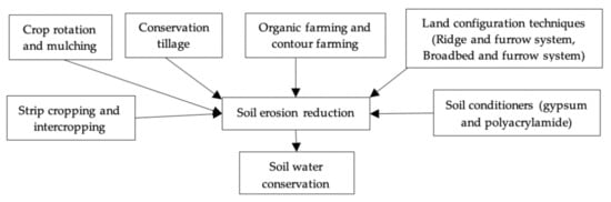 Agronomy 11 02374 g005 550