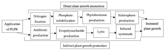 Agronomy 11 02374 g006 550