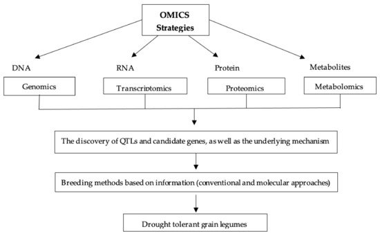 Agronomy 11 02374 g007 550