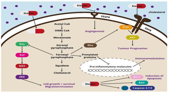 Pharmaceuticals 14 01220 g001 550