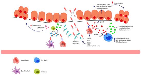 Ijms 22 12739 g003 550