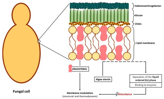 Jof 07 01006 g003 550