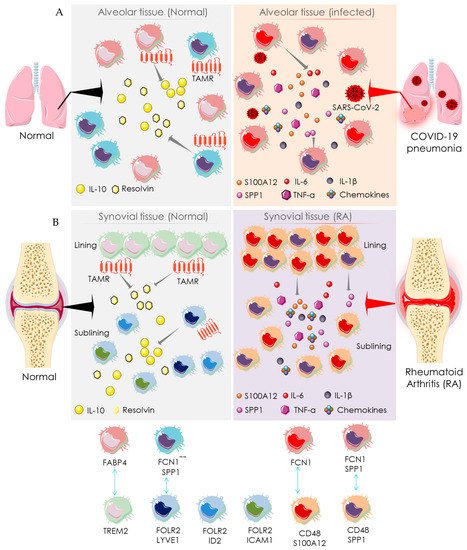 Cells 10 03291 g004 550